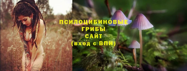амф Михайловка