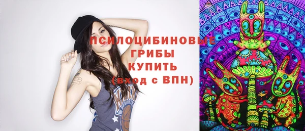 стаф Михайлов