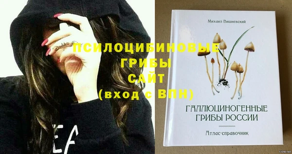 мет Михайловск