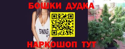 индика Кандалакша