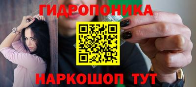 индика Кандалакша