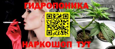 мяу мяу мука Камышлов