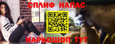 индика Кандалакша