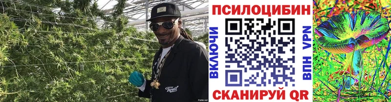 Галлюциногенные грибы GOLDEN TEACHER  Южно-Сахалинск 