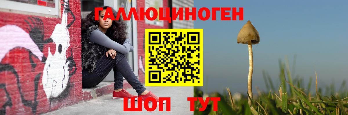 Южно-Сахалинск  Псилоцибиновые грибы GOLDEN TEACHER  Вход с VPN 